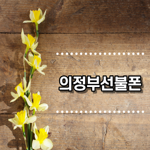  의정부선불폰 집에서 간단하게 비대면 개통