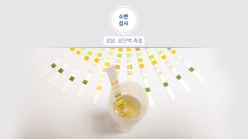 공무원 채용신체검사 비용, 준비물,일반채용건강검진 당일발급 병원, 주의사항 안내 : 네이버 블로그