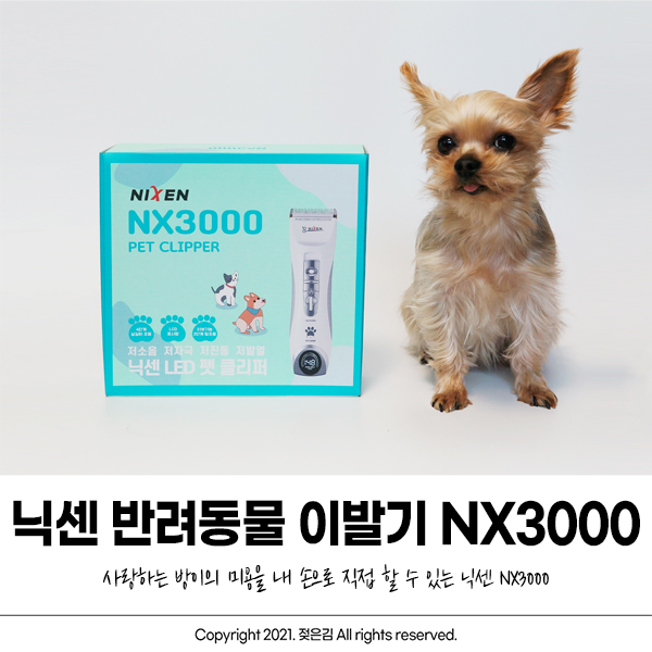 닉센 반려동물 강아지바리깡으로 방이 봄맞이 셀프미용 했어요 닉센 반려동물 강아지바리깡으로 방이 봄맞이 셀프미용 했어요