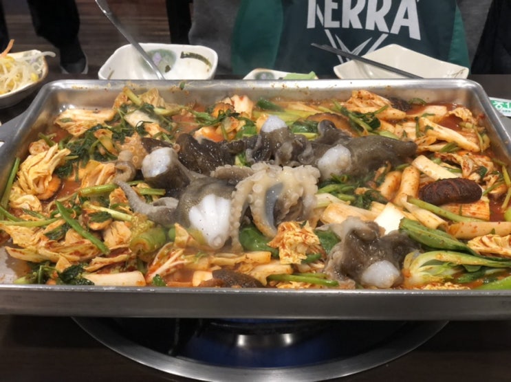 [서초동/남부터미널 맛집] 봄철 산쭈꾸미의 계절, 서초명가