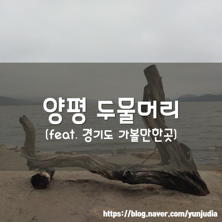  [양평] 두물머리, 연잎 핫도그, 더그림카페 - 비오는 날 드라이브, 데이트