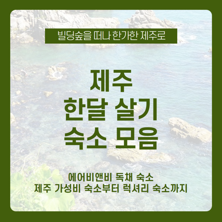  가성비 숙소부터 럭셔리 숙소까지 총정리한 제주 한달살기 숙소! 감성과 부담 없는 가격까지 챙길 수 있는 에어비앤비 제주 한달살기 숙소 모음 / 제주도 한달살기 숙소, 제주 봄 여행