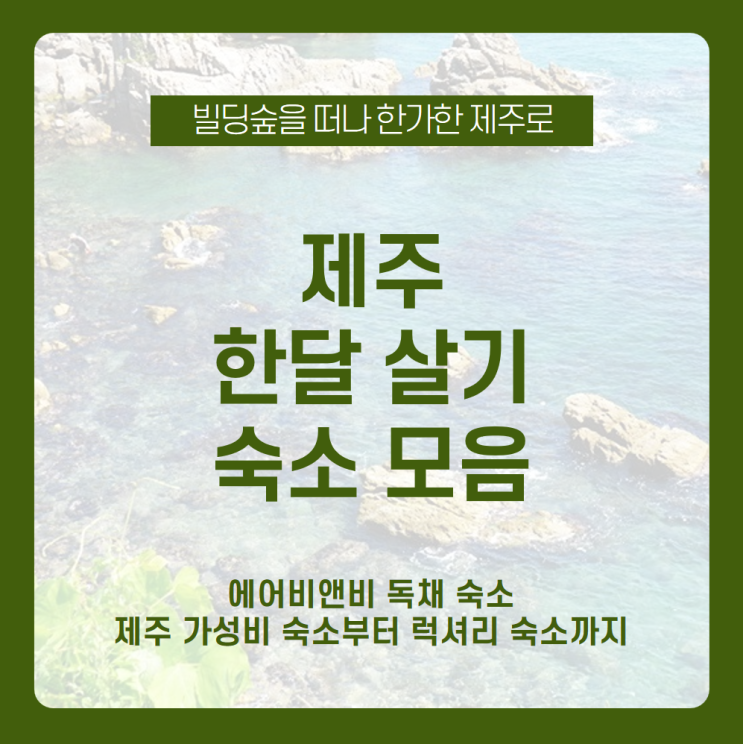 가성비 숙소부터 럭셔리 숙소까지 총정리한 제주 한달살기 숙소! 감성과 부담 없는 가격까지 챙길 수 있는 에어비앤비 제주 한달살기 숙소 모음 / 제주도 한달살기 숙소, 제주 봄 여행