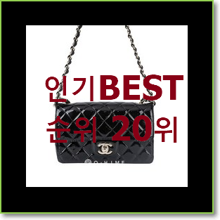  안사면 손해 샤넬뉴미니 물건 인기 성능 랭킹 20위