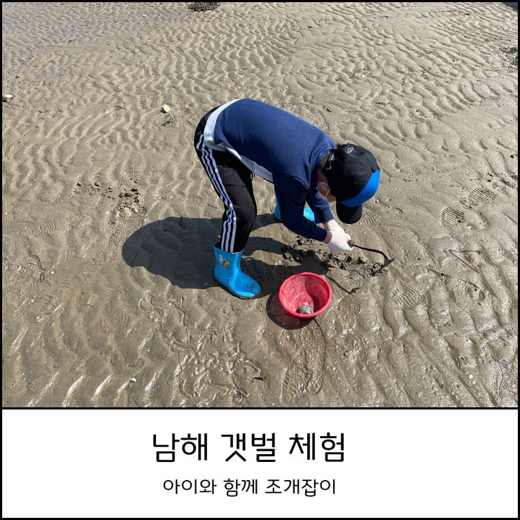  남해 갯벌체험 아이와 함께 조개잡이 (feat. 물때표)