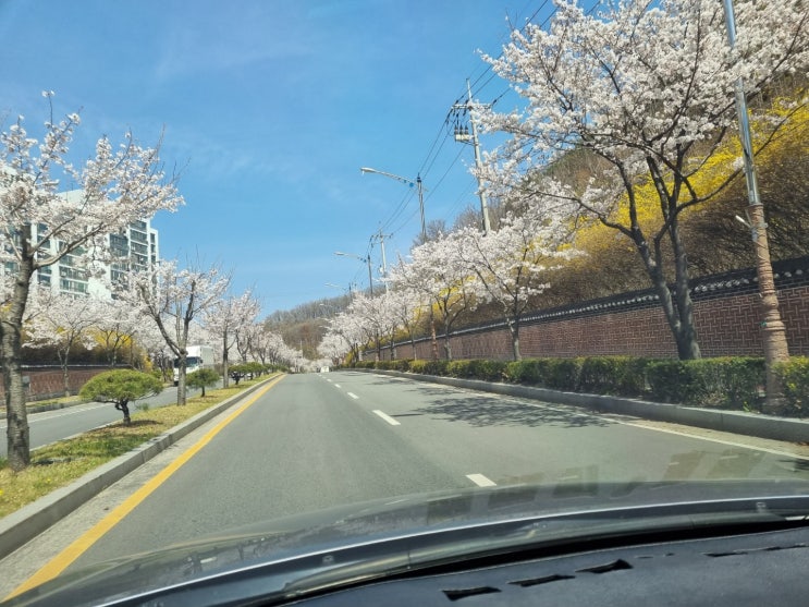  챌린지 22일차.