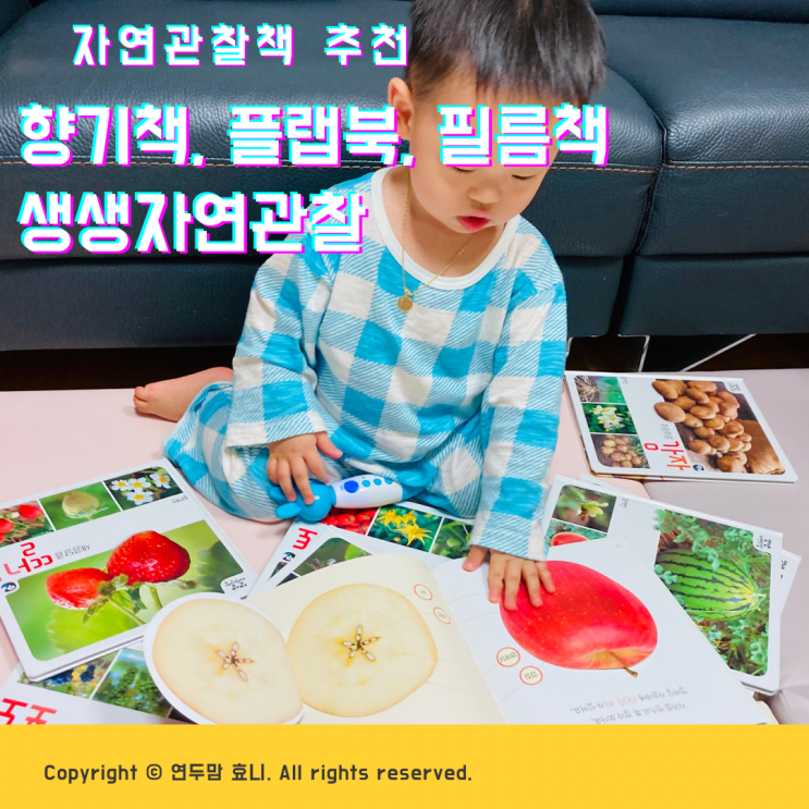 17개월아기 자연관찰책 추천 향기책, 플랩북, 필름책으로 보는 과일과채소 17개월아기 자연관찰책 추천 향기책, 플랩북, 필름책으로 보는 과일과채소