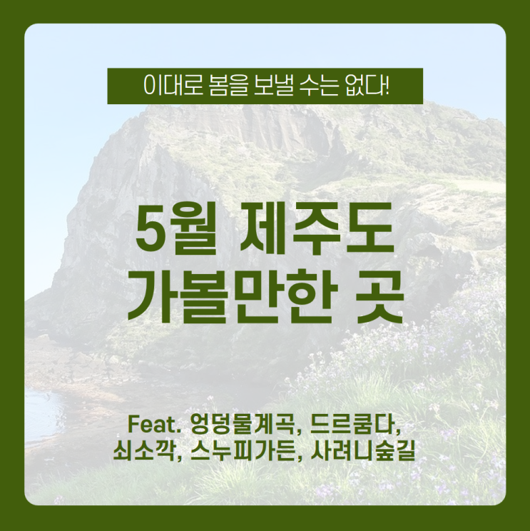  5월 제주도 여행은 어디로 놀러 가야 할까? 5월 제주도 가볼만한곳 모아보자! /엉덩물계곡, 드르쿰다, 쇠소깍, 스누피가든, 사려니숲길 /4월 제주도 가볼만한곳, 4월 제주도 여행