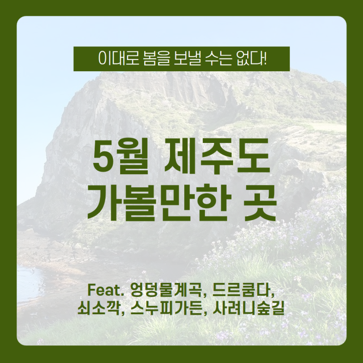 5월 제주도 여행은 어디로 놀러 가야 할까? 5월 제주도 가볼만한곳 모아보자! /엉덩물계곡, 드르쿰다, 쇠소깍, 스누피가든, 사려니숲길 /4월 제주도 가볼만한곳, 4월 제주도 여행