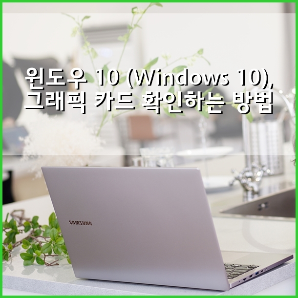 윈도우 10 (Windows 10), 그래픽 카드 확인하는 방법
