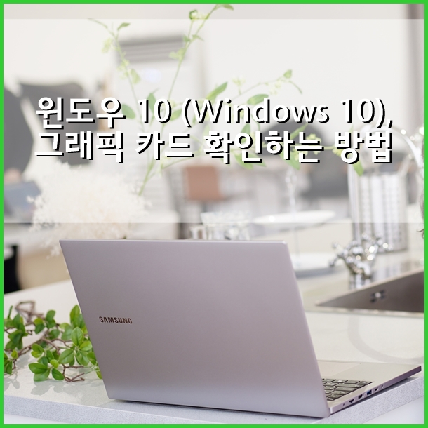  윈도우 10 (Windows 10), 그래픽 카드 확인하는 방법
