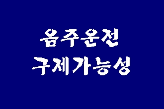  음주운전 구제 생계형 운전자 그리고 면허의 필요성 (대구 행정사)