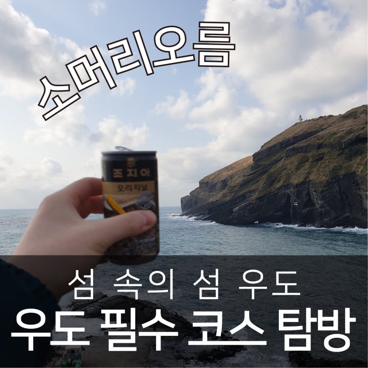  제주도 우도 가볼만한 곳 필수 코스 탐방 !! + 우도 맛집 추천 우도돌담집 + 산호해수욕장