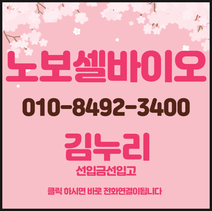  노보셀바이오 최근 소식