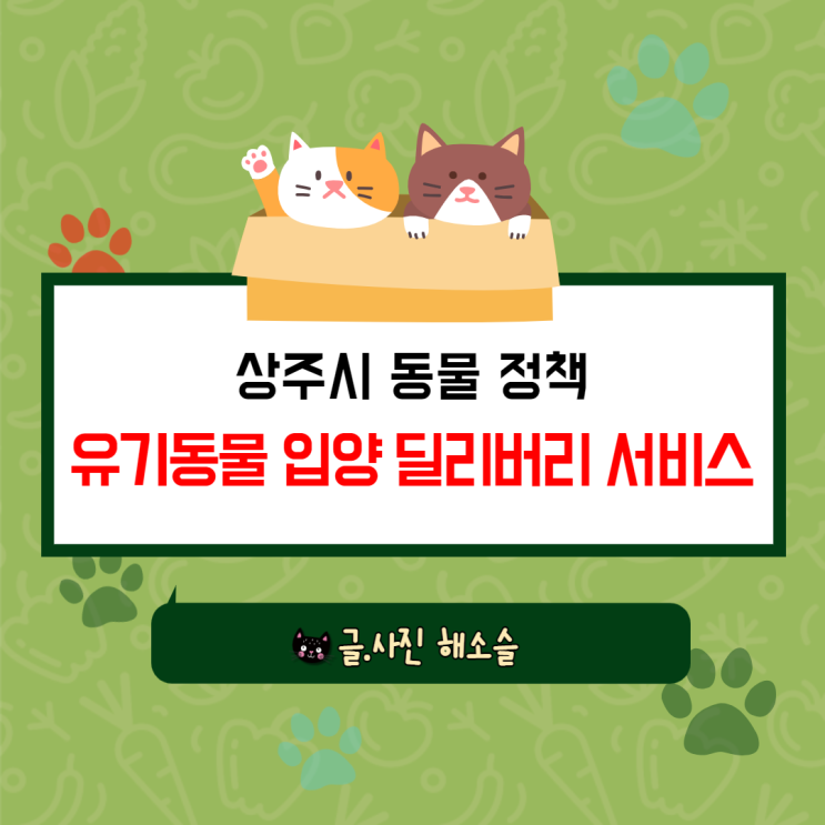  상주시 반려동물 정책 "유기동물 입양 딜리버리 서비스"