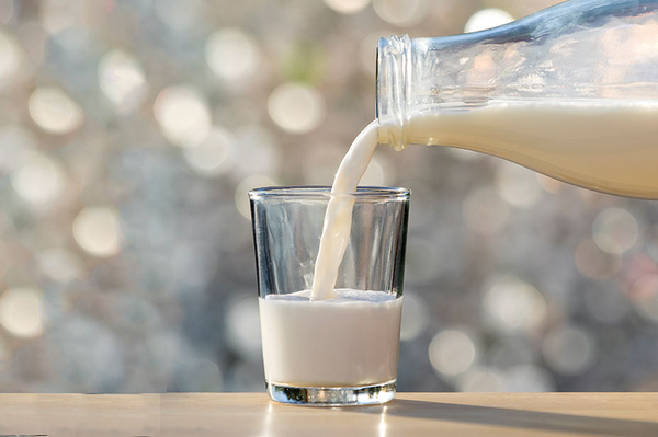 당뇨와 우유 혈당, 우유는 적당히, 그릭요거트로 만들어 먹는걸 추천!