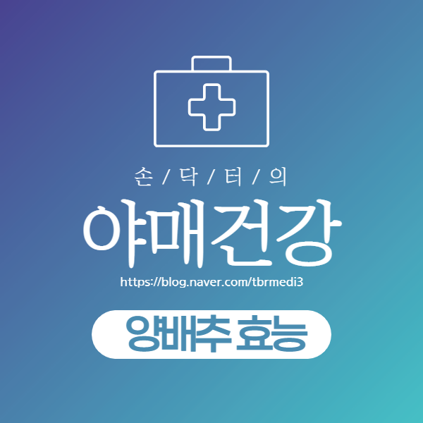  지금까지 몰랐던 양배추의 효능! :: 양배추환, 양배추즙 만드는 법