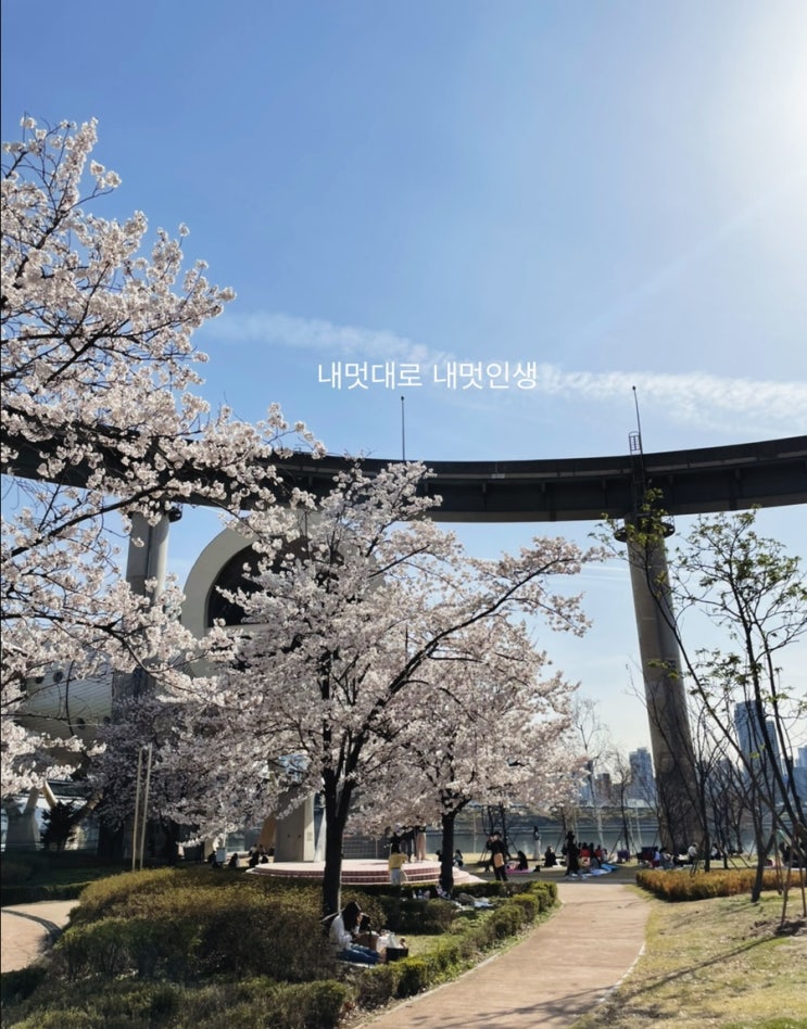  날이 너무 좋아서 - 한강 