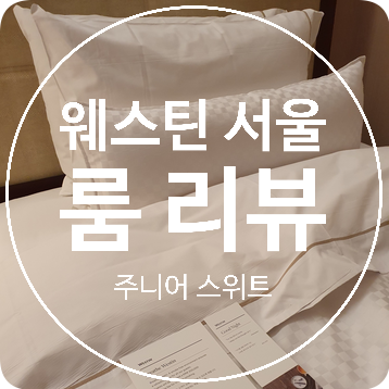  [소공동] 웨스틴 조선 주니어 스위트, 이그제큐티브 트윈 룸 리뷰 WESTIN JOSUN SEOUL