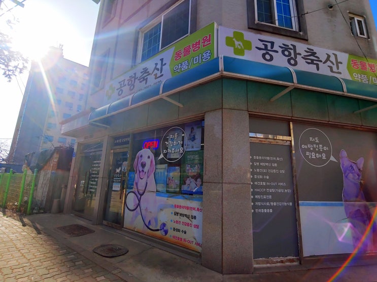 강아지 고양이 처방약 저렴한 동물약국 강서구 '공항축산' 강아지 고양이 처방약 저렴한 동물약국 강서구 '공항축산'