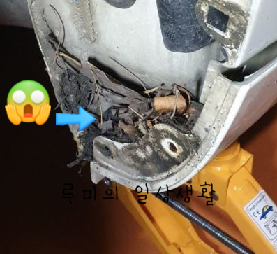  머드가드 설치 해야되는 이유?!