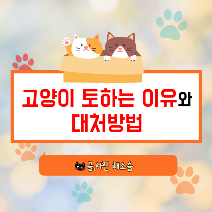  고양이 토하는 이유와 대처방법