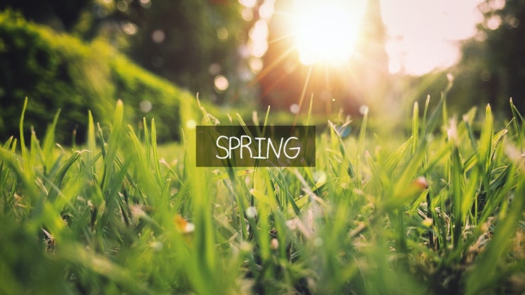 봄 :: 춘계예찬(春季禮讚)