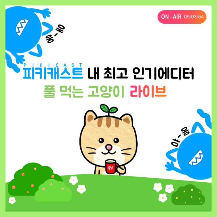  피키라이브의 숨겨진 아이돌? :: '풀먹는 고양이' 소개