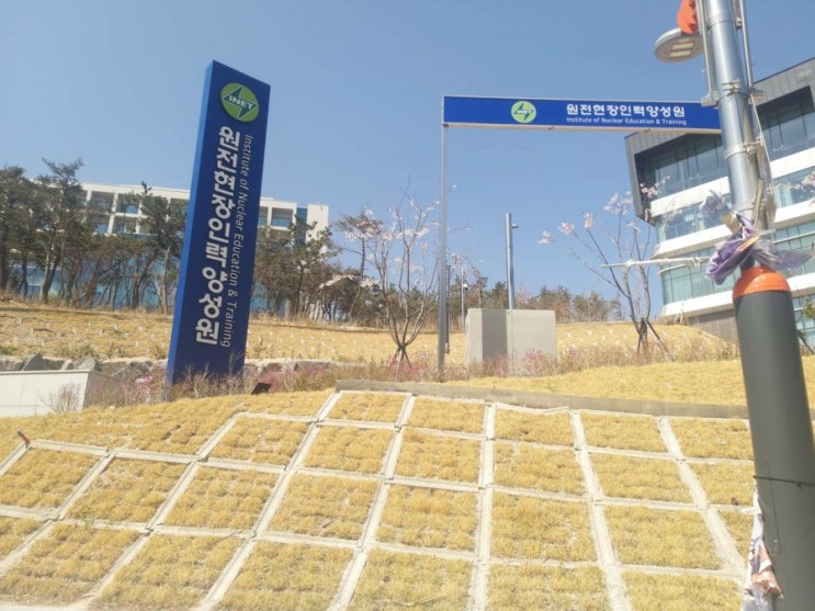  생각하는 힘이 건강한 환경을 만든다.(생명과 환경)