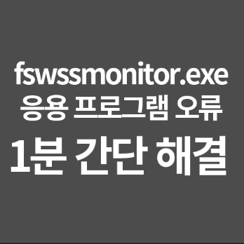 fswssmonitor.exe 응용 프로그램 오류 1분해결