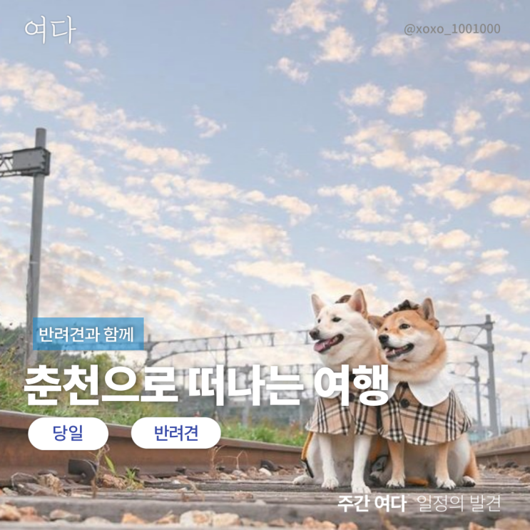  [춘천여행]반려견과 춘천으로 떠나는 여행