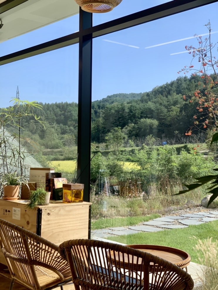  [속초 ODOC] 속초 베짱이 2호점 ODOC(one day one coffee), 불멍 말고 산멍때리다가 베짱이 나올꺼 같은 오디오씨