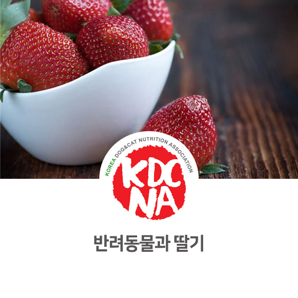  정유경 펫영양사가 알려주는 강아지와 딸기 영양소 [한국반려동물영양협회/펫푸드수업/반려동물영양전문강사/익산애견수제간식/대전/아산/청주/충주/경주]_886