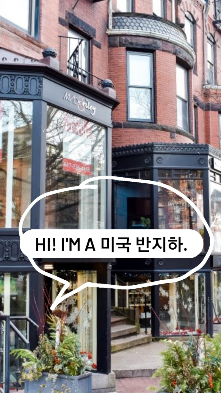  대한민국 반지하 활용법!!!!- 한남동과 뉴버리 스트리트를 비교해보자!