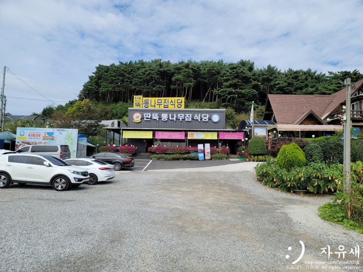  안면도 대표하는 먹거리 게국지 맛집 딴뚝통나무집 식당