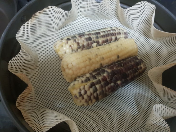 산지에서 직접 배달해먹는 맛있는옥수수 강원도 정선 찰옥수수 <110 옥수수> 산지에서 직접 배달해먹는 맛있는옥수수 강원도 정선 찰옥수수 <110 옥수수>
