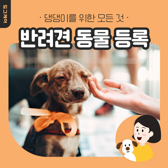  강아지 반려견 동물 등록
