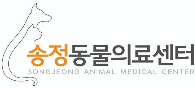  송정동물의료센터 / 경기광주동물병원 2021년 2차 국가 광견병 기간 안내 