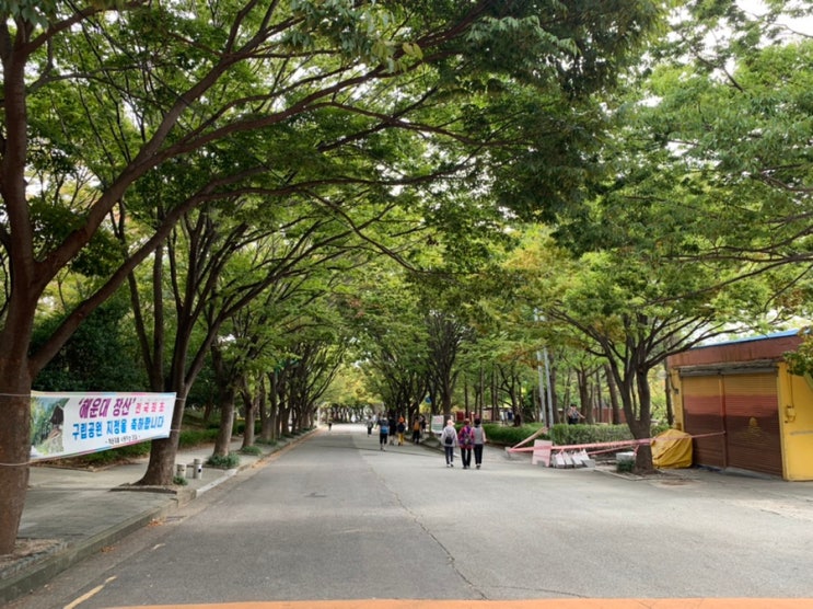 오징어 게임 보고, 우리 어린이랑 술래잡기 하니 기분이 묘하네요! ㅎㅎ 오징어 게임 보고, 우리 어린이랑 술래잡기 하니 기분이 묘하네요! ㅎㅎ