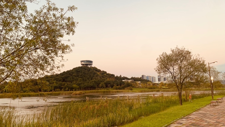  [전남] 광주 근교 강아지 산책 애견 공원은 나주 빛가람 공원