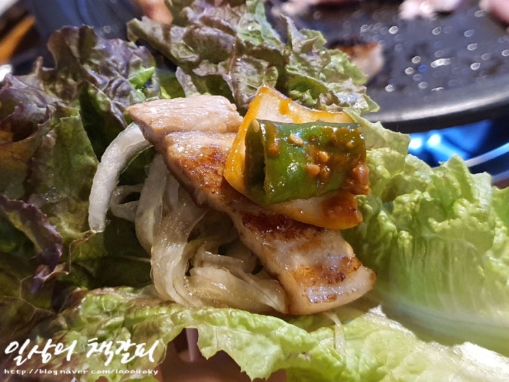  세종 조치원 가성비 갑 정육식당 <마켓정> 한돈 삼겹살과 이베리코 항정살 후기