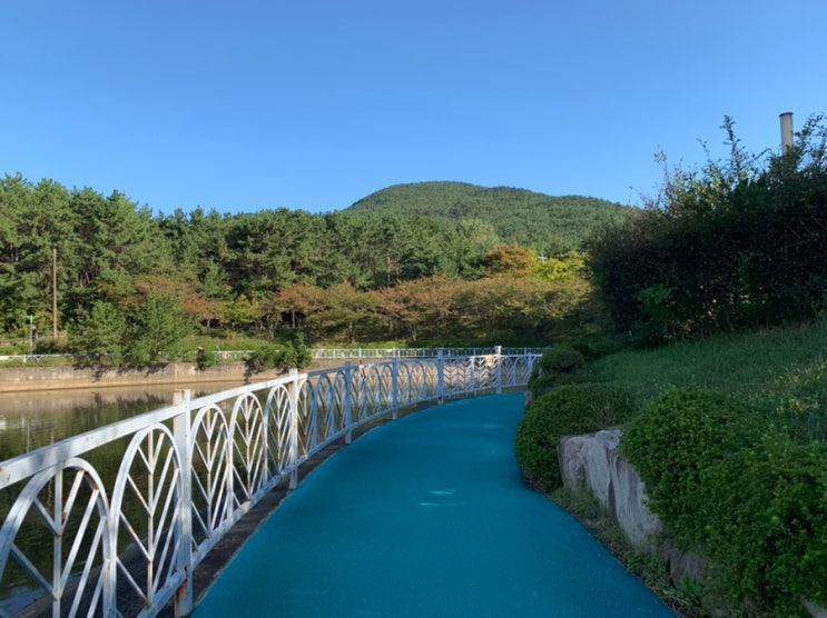 오늘 아침 러닝 6km/ 완연한 가을을 느끼며~런런!c️ (feat. 비보액티브3+QCY블루투스이어폰) 오늘 아침 러닝 6km/ 완연한 가을을 느끼며~런런!c️ (feat. 비보액티브3+QCY블루투스이어폰)