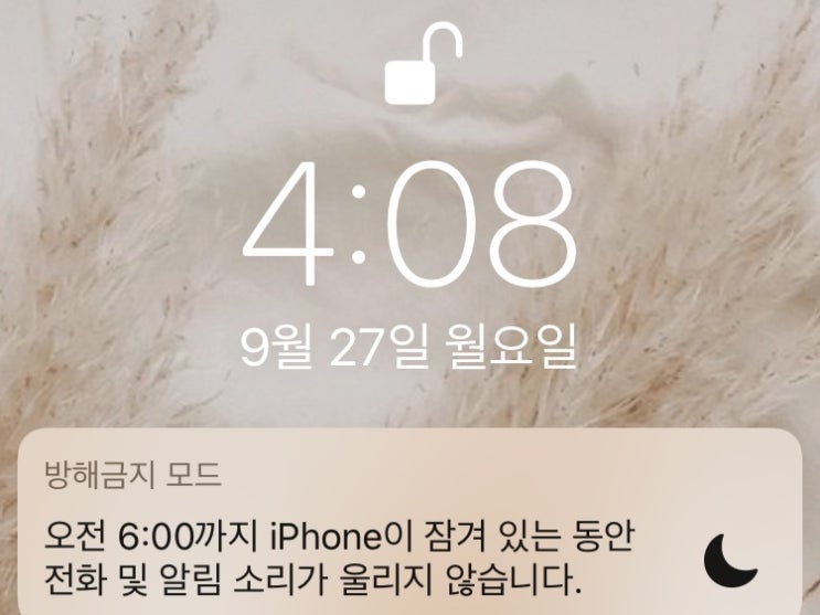  [습관만들기] 다시 시작하는 미라클 모닝 Week 16