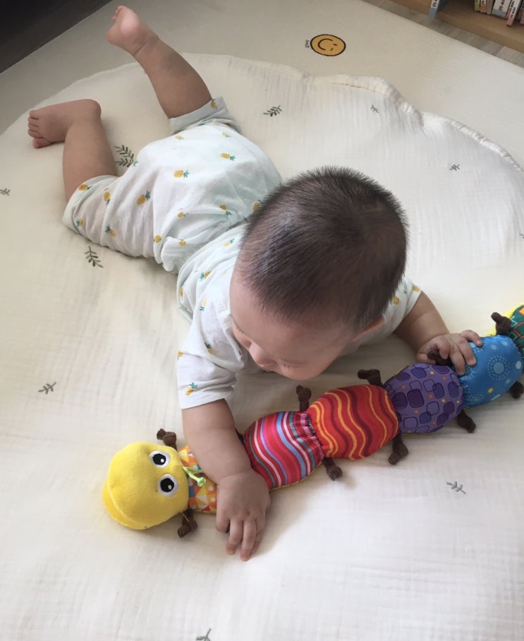  국민육아템 라마즈애벌레 사용후기(7개월 아기 추천)