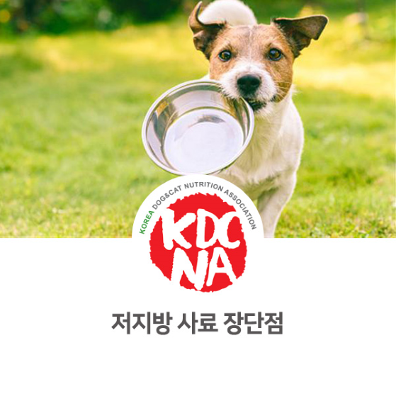  이지안 펫영양사가 알려주는 저지방 사료 장단점 [한국반려동물영양협회/전북지회/전주/천안/원주/창원/진주/펫푸드자격증/강아지사료]_887
