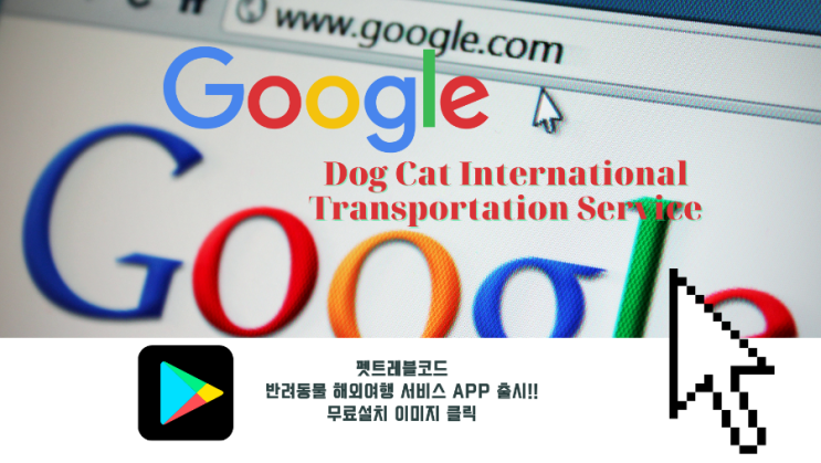  한국에서 미국워싱턴 d.c 로 강아지해외데려가기 반려동물입국 강아지검역 고양이검역