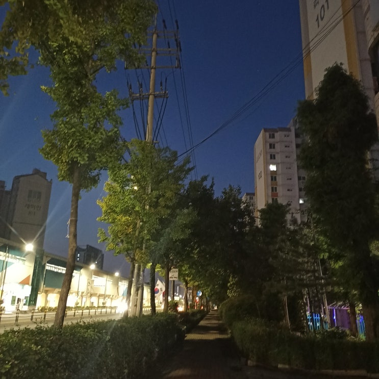  2021. 10. 1(금) 스쿼트 (새벽운동)