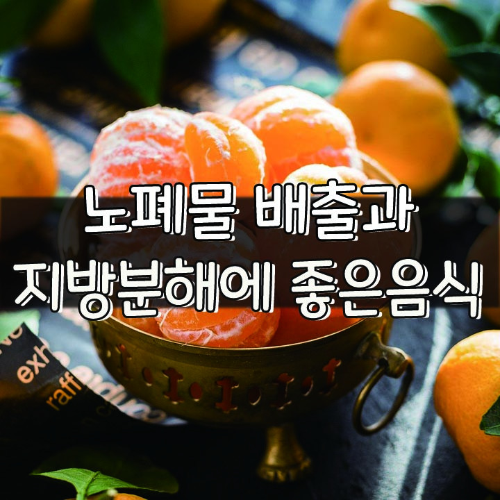  [노폐물 배출과 지방분해에 좋은음식]