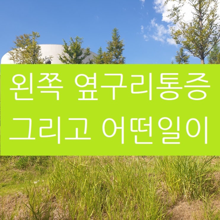  왼쪽옆구리통증 복부팽만과 다리저림도 있으시다면