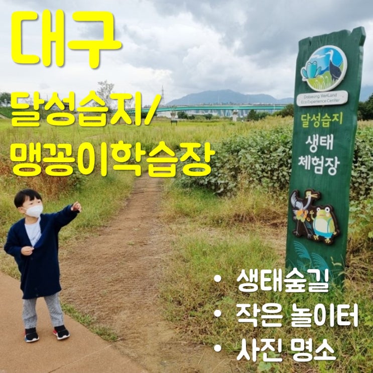  달성습지, 맹꽁이 학습장 - 대구 아이와 가볼 만한 곳